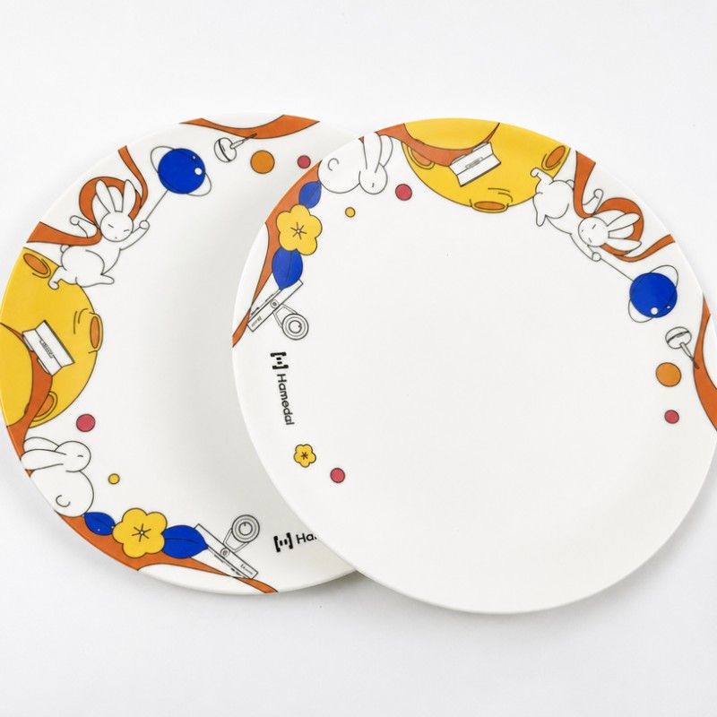 Pratos de frutas para salada estilo Ins de fibra de bambu personalizados Pratos de frutas para salada estilo Ins de fibra de bambu personalizados
