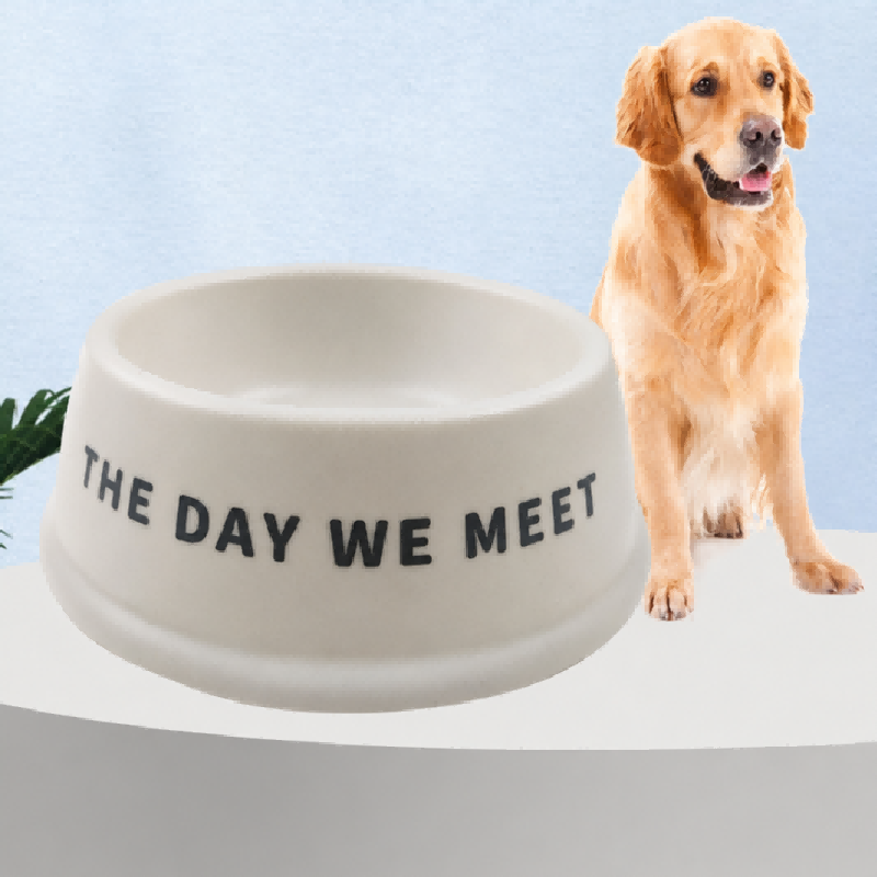 Tigela para animais de estimação com logotipo personalizado de fibra de bambu degradável Tigela para animais de estimação com logotipo personalizado de fibra de bambu degradável